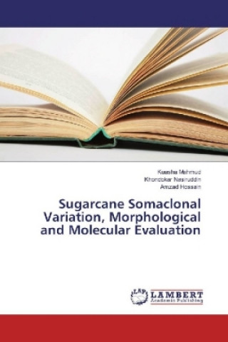 Sugarcane Somaclonal Variation, Morphological and Molecular Evaluation