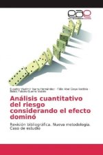 Análisis cuantitativo del riesgo considerando el efecto dominó