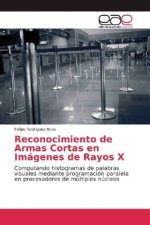 Reconocimiento de Armas Cortas en Imagenes de Rayos X