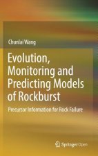 Evolution, Monitoring and Predicting Models of Rockburst
