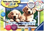 Ravensburger Malen nach Zahlen 27839 - Süße Hundewelpen - Kinder ab 7 Jahren
