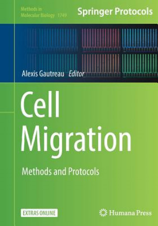 Cell Migration