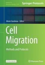 Cell Migration