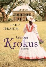 Gelber Krokus