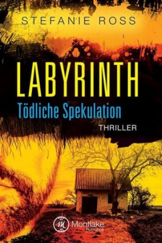 Labyrinth