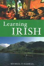 Learning Irish