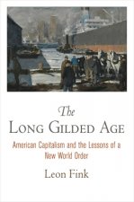 Long Gilded Age