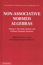 Non-Associative Normed Algebras 2 Volume Hardback Set