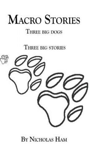 Macro Stories