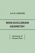 Non-Euclidean Geometry