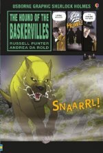 Hound of the Baskervilles