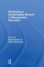 Developing a Sustainability Mindset in Management Education