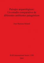 Paisajes arqueologicos: Un estudio comparativo de diferentes ambientes patagonicos