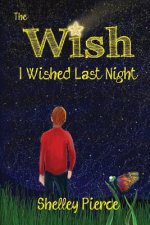 Wish I Wished Last Night