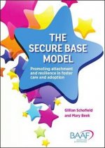 The Secure Base Model : Promoting Attachment and Resilience in Foster Care and Adoption