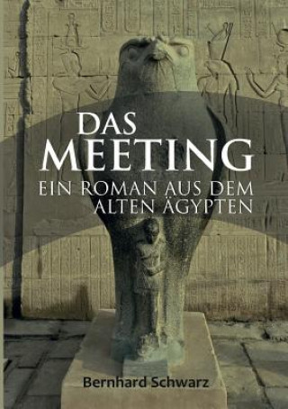 Meeting