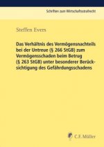 Das Verhältnis des Vermögensnachteils bei der Untreue ( 266 StGB) zum Vermögensschaden beim Betrug ( 263 StGB) unter besonderer Berücksichtigung des G