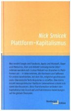 Plattform-Kapitalismus