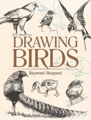 Drawing Birds (Raymond Sheppard)(Miękka)