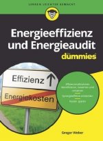 Energieeffizienz und Energieaudit für Dummies
