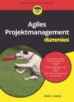 Agiles Projektmanagement fur Dummies