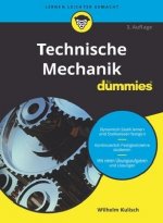 Technische Mechanik fur Dummies