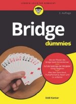 Bridge fur Dummies