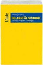 Bilanzfälschung
