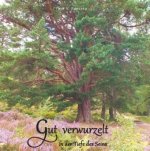 Gut verwurzelt