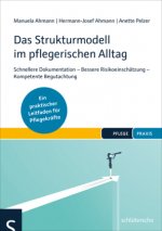 Das Strukturmodell im pflegerischen Alltag