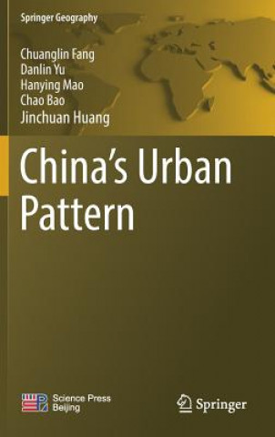 China's Urban Pattern