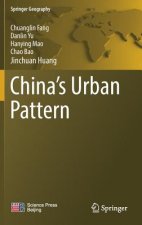 China's Urban Pattern