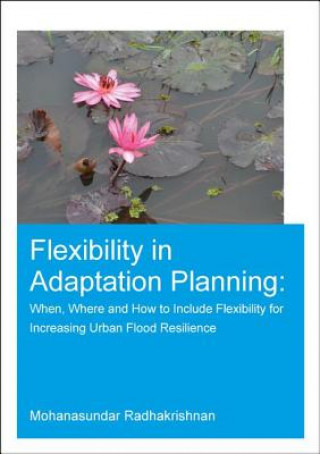 Flexibility in Adaptation Planning