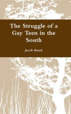 Struggle of a Gay Teen in the South