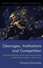 Cleavages, Institutions and Competition