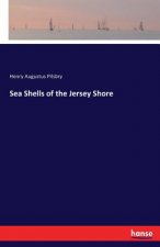 Sea Shells of the Jersey Shore