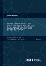 Microplasticity of idealized single crystalline Ag cantilevers characterized with methods of high resolution