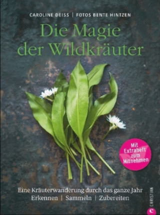 Die Magie der Wildkräuter