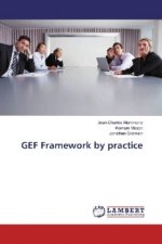 GEF Framework by practice