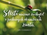 Plechová cedulka Štěstí musíme zachytit
