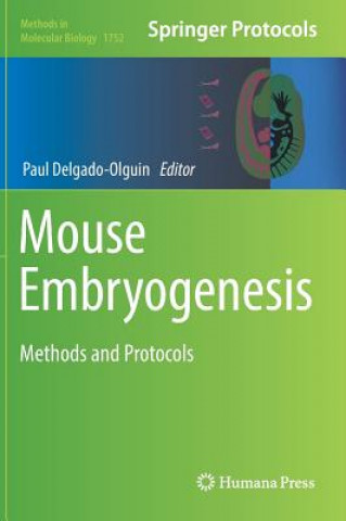 Mouse Embryogenesis