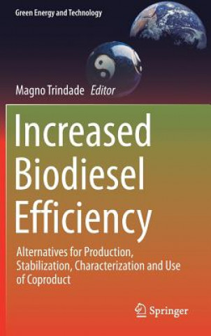 Increased Biodiesel Efficiency
