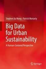Big Data for Urban Sustainability