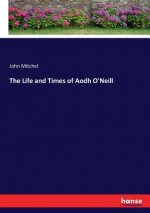 Life and Times of Aodh O'Neill