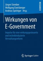 Wirkungen Von E-Government