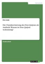 Die Charakterisierung des Don Quijotes als Antiheld. Warum ist Don Quijote wahnsinnig?
