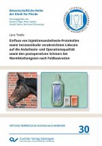 Einfluss von Injektionsanästhesie-Protokollen sowie intratestikulär verabreichtem Lidocain auf die Anästhesie- und Operationsqualität sowie den postop