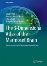 3-Dimensional Atlas of the Marmoset Brain
