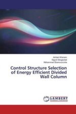 Control Structure Selection of Energy Efficient Divided Wall Column