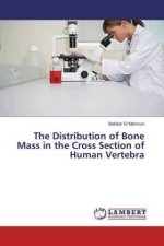 The Distribution of Bone Mass in the Cross Section of Human Vertebra